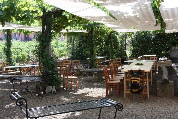 rome-private-castelli-romani-wine-tasting-tour