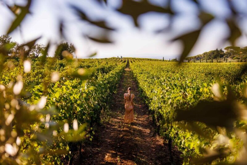 rome-private-countryside-wine-tasting-tour