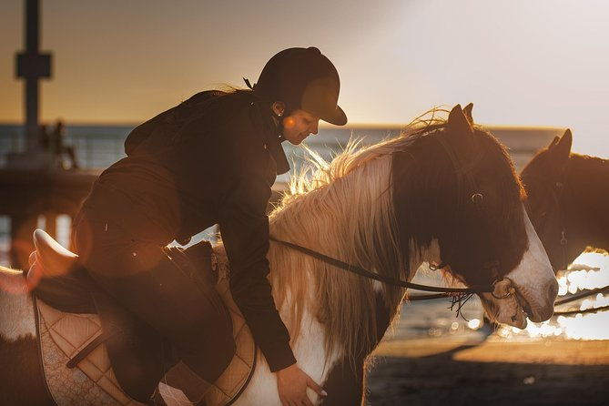rome-private-horseback-riding-experience-on-the-beach