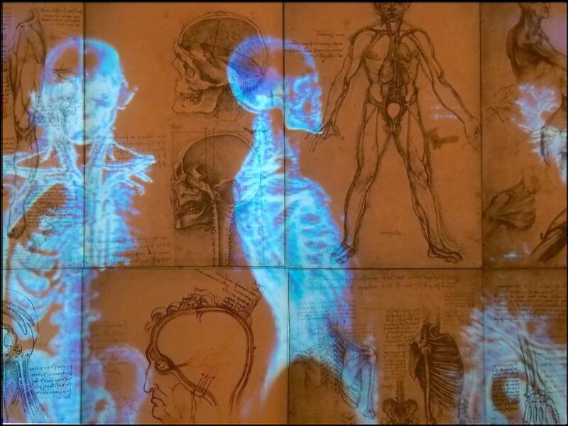 rome-private-leonardo-da-vinci-exhibition-guided-tour