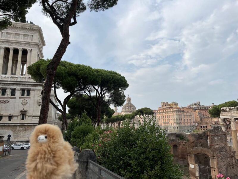 rome-private-walking-city-tour-with-a-guide