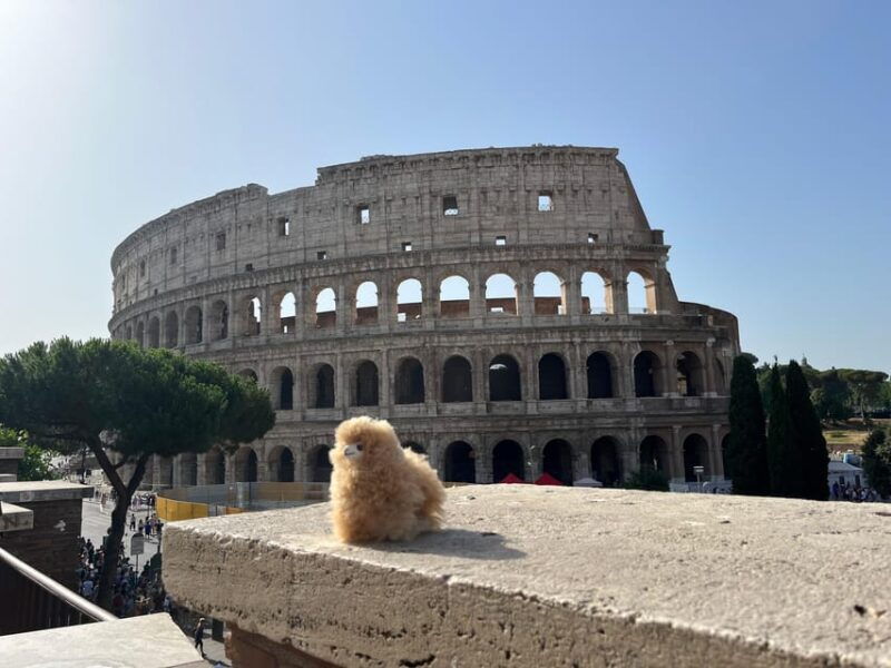 rome-private-walking-city-tour-with-a-guide