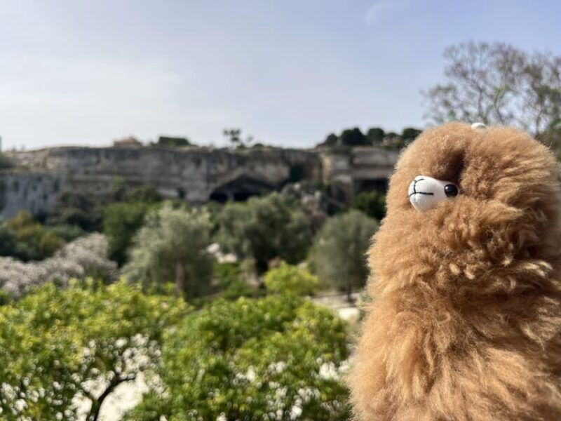 rome-private-walking-city-tour-with-a-guide