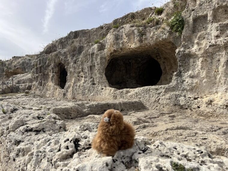 rome-private-walking-city-tour-with-a-guide