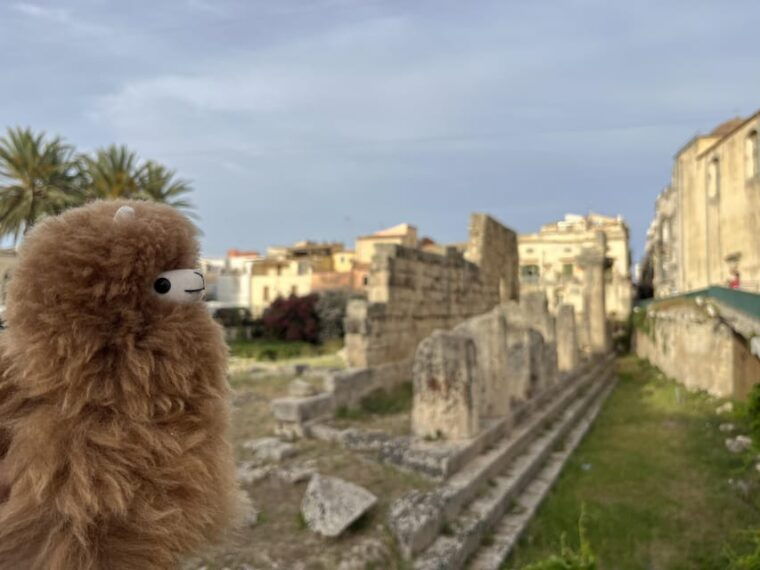 rome-private-walking-city-tour-with-a-guide