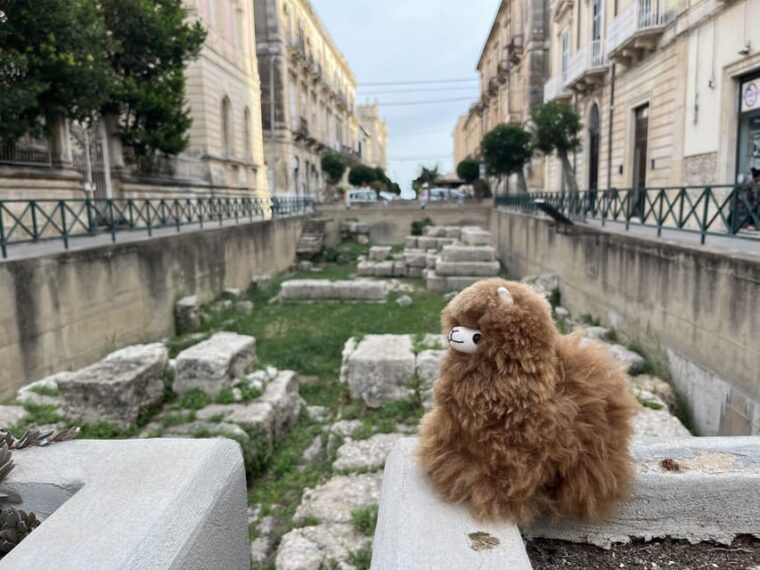 rome-private-walking-city-tour-with-a-guide