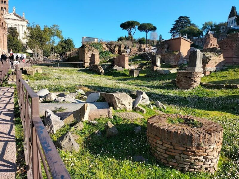 rome-roman-forum-and-palatine-hill-licensed-guided-tour