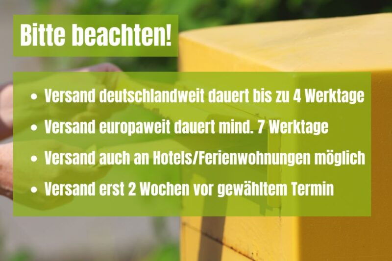 rome-scavenger-hunt-self-guided-tour