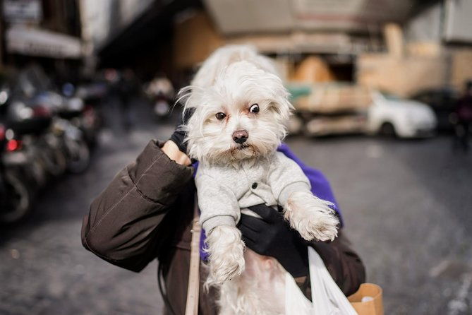 rome-street-photography-lesson