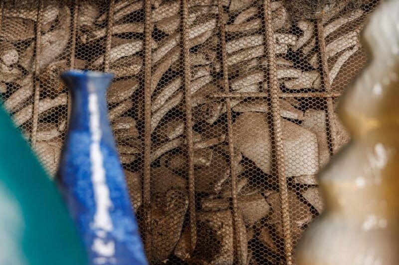 rome-taste-in-testaccio-gastronomic-rarities-in-an-aging-cave