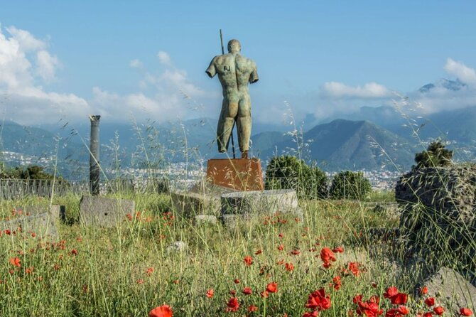 rome-to-pompeii-guided-tour-with-wine-lunch-by-high-speed-train