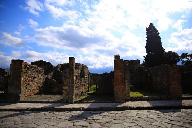 rome-to-pompeii-herculaneum-trip-with-hotel-pickup-skip-the-line-tickets