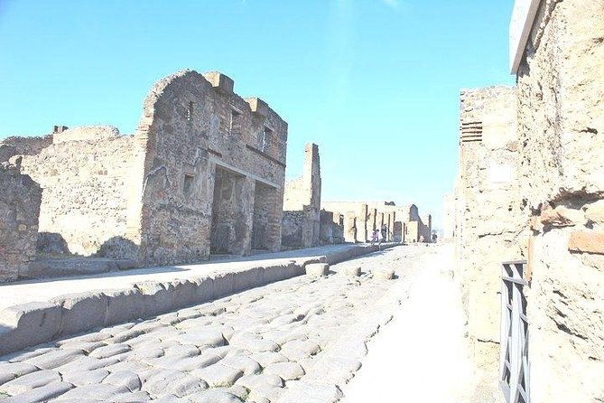 rome-to-pompeii-private-guided-tour-with-hotel-pick-up-skip-the-line-tickets