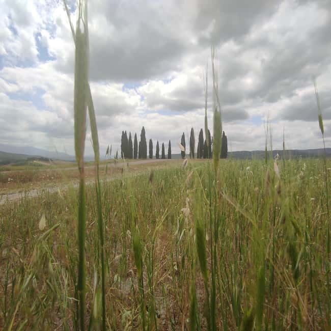 Rome to Tuscany (Florence) Private Transfer and Tour - An In-Depth Look at the Rome to Tuscany Private Transfer and Tour