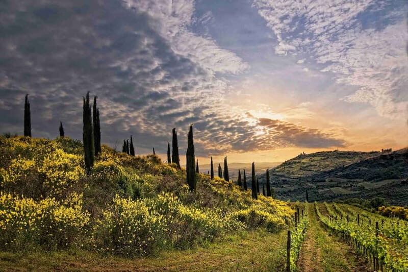 Rome to Tuscany (Florence) Private Transfer and Tour - Frequently Asked Questions