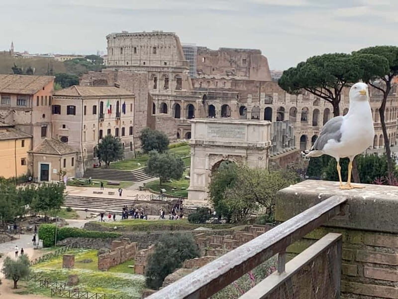 Rome Tour with Kids: On the footsteps of the Gladiators - Key Points