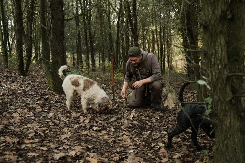 ROME: Truffle Hunting and Lunch with Truffle Dishes - What’s Included and What to Keep in Mind