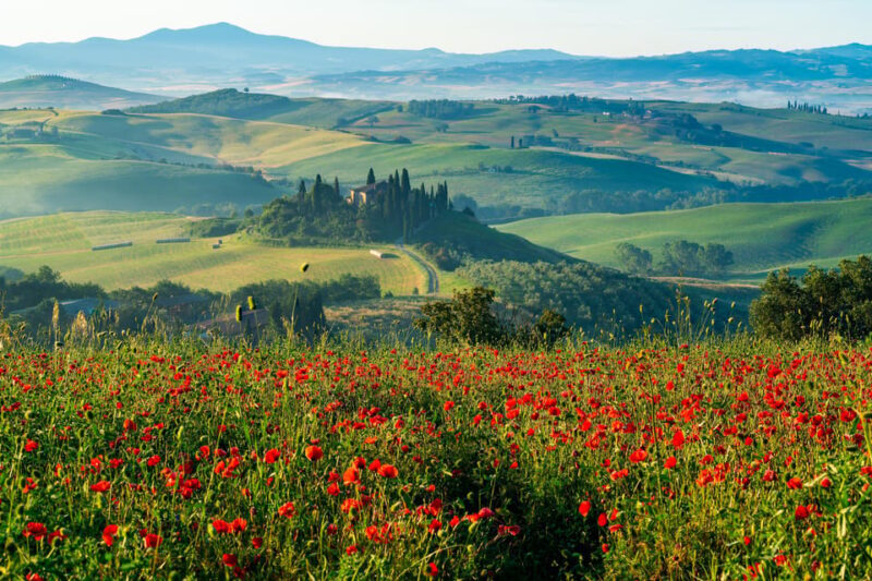 Rome: Tuscany & Montepulciano Day Trip with Lunch & Wines - Final Thoughts