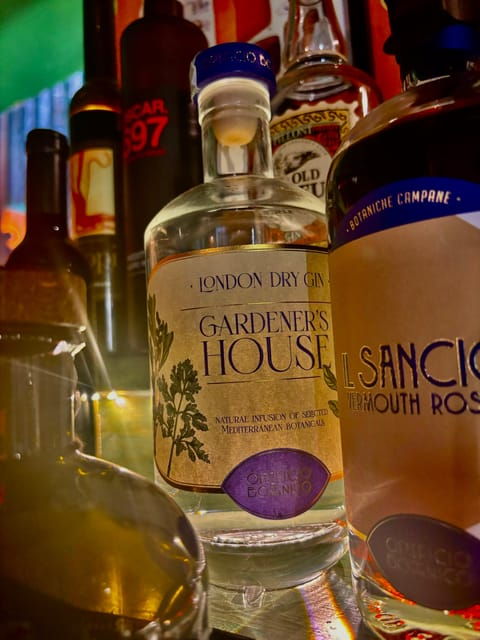 rome-vatican-area-italian-gin-tasting