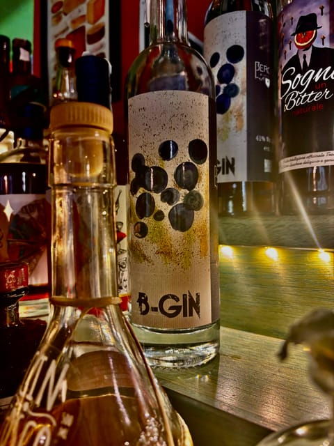 rome-vatican-area-italian-gin-tasting