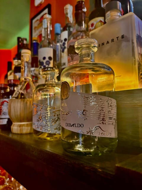 rome-vatican-area-italian-gin-tasting