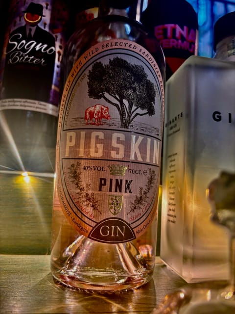 rome-vatican-area-italian-gin-tasting