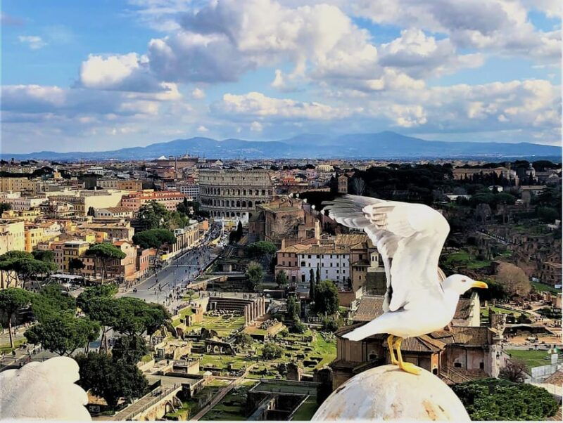 rome-vatican-colosseum-main-squares-tour-w-lunch-car