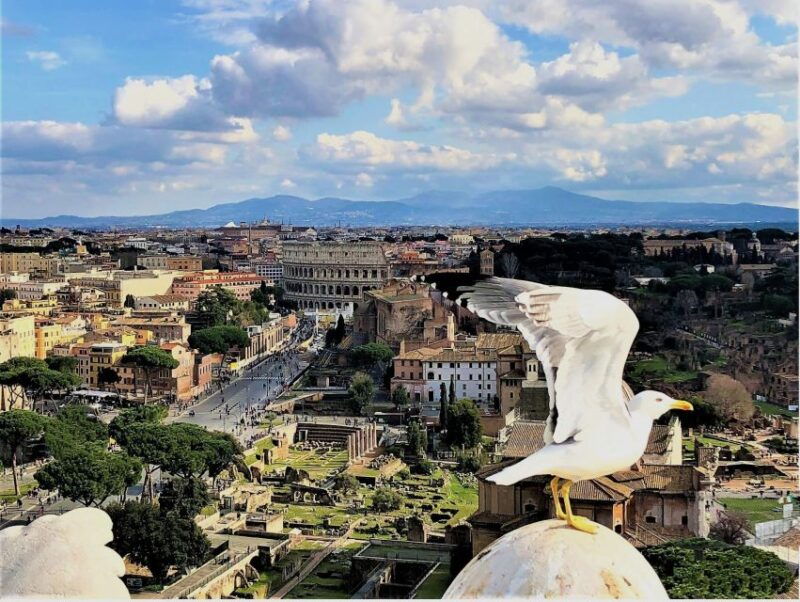 rome-vatican-colosseum-main-squares-tour-w-lunch-car
