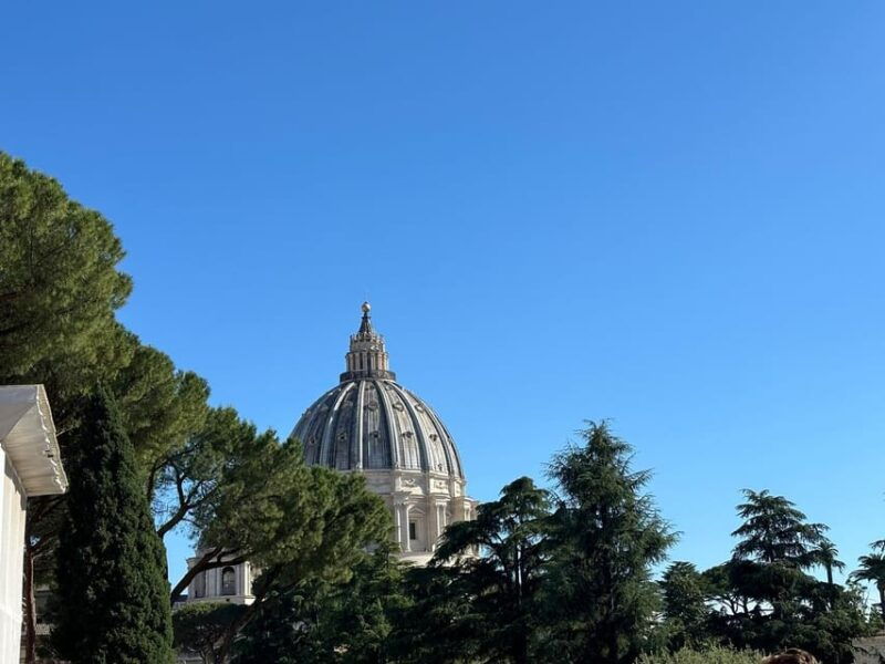 rome-vatican-museums-and-st-peters-basilica-tour