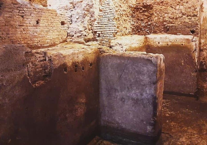 Rome: Vatican Necropolis and Via Triumphalis Guided Tour - Practical Details & Tips