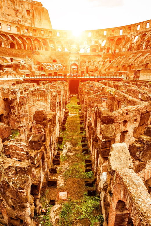 rome-vip-colosseum-roman-forum-palatine-hill-experience