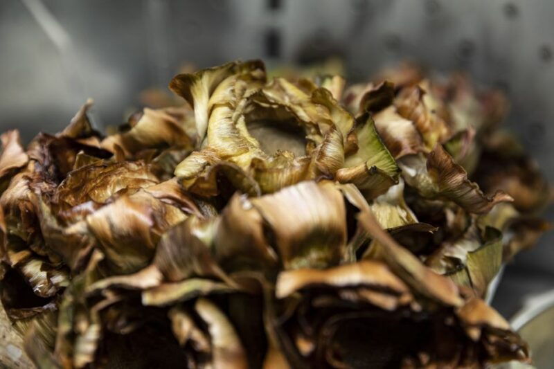 rome-vip-golf-cart-food-tour