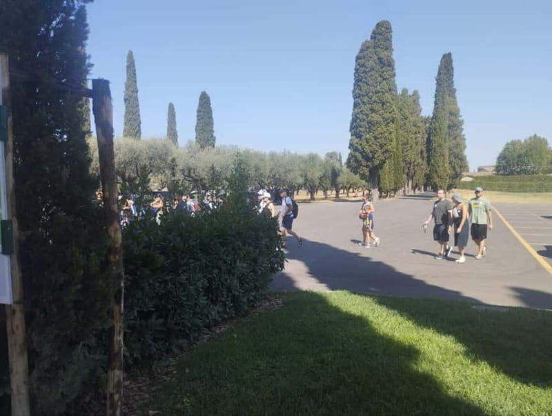 Rome: Walking Tour to the Catacombs of Saint Callixtus - The Value of This Tour