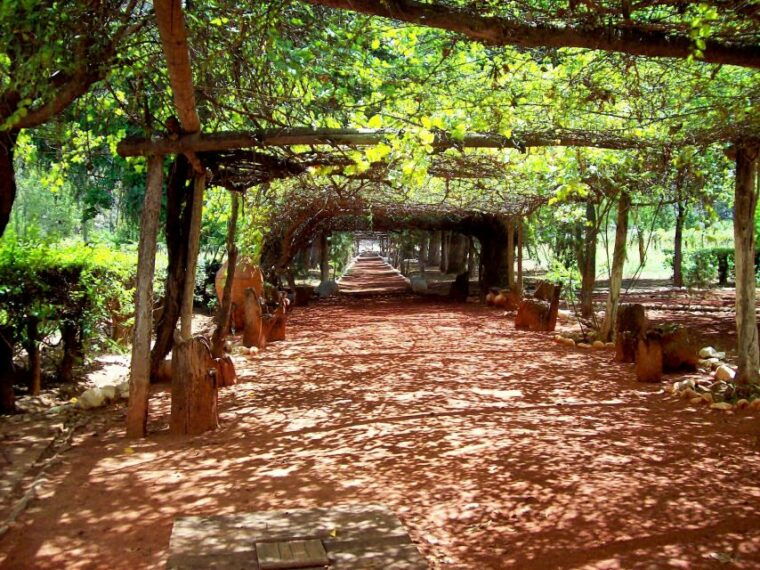 rome-wine-tasting-and-pizza-making-class-at-a-vineyard