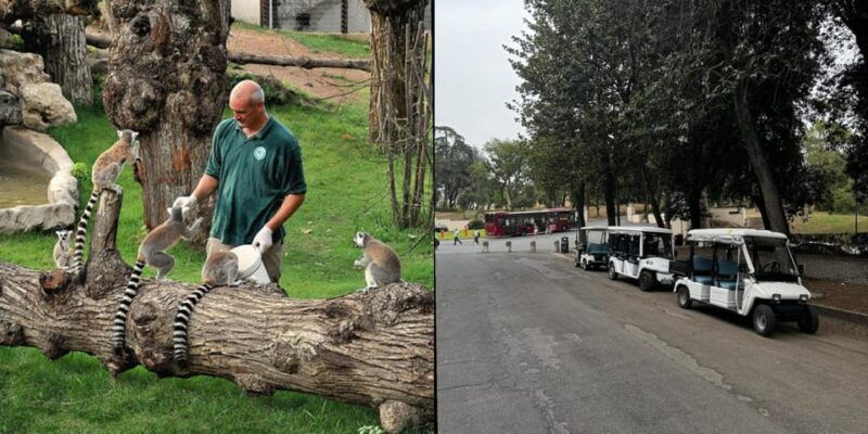 rome-zoo-entrance-ticket-golf-cart-tour-of-villa-borghese