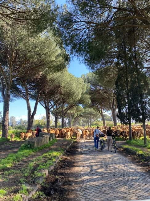 Rome:Appian Way E-bike Tour, Catacombs, Aqueducts & Transfer - The E-Bikes and Route Selection