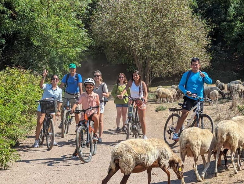 Rome:Appian Way E-bike Tour, Catacombs, Aqueducts & Transfer - What to Keep in Mind