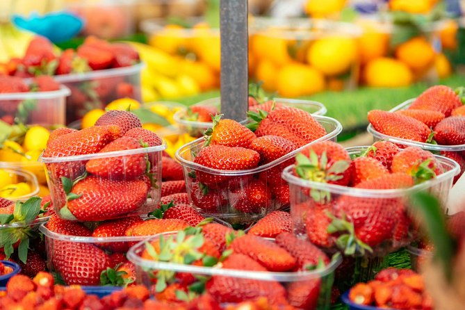 romes-best-street-food-private-tour-with-a-local