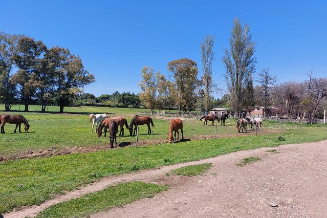 romes-ultimate-bike-tour