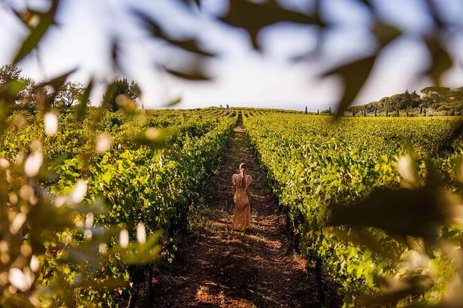 romes-vineyard-symphony-countryside-winetasting-experience-2