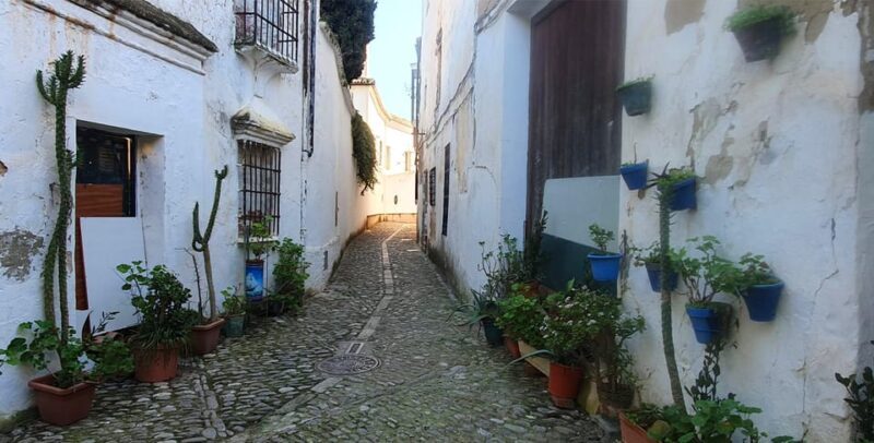 Ronda and Setenil Tour with Free Time from Málaga - Who Is This Tour Best For?