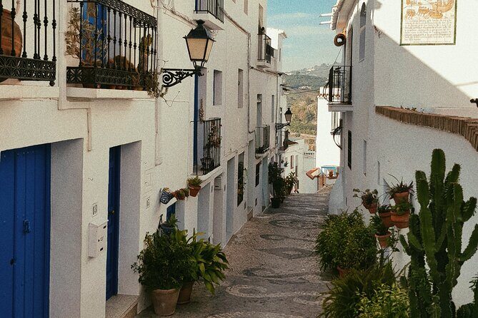 Ronda and White Villages from Seville-Small Group-Private Van - The Itinerary in Detail