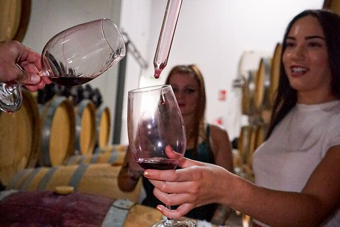 ronda-from-malaga-top-quality-wine-tour-city-exploring