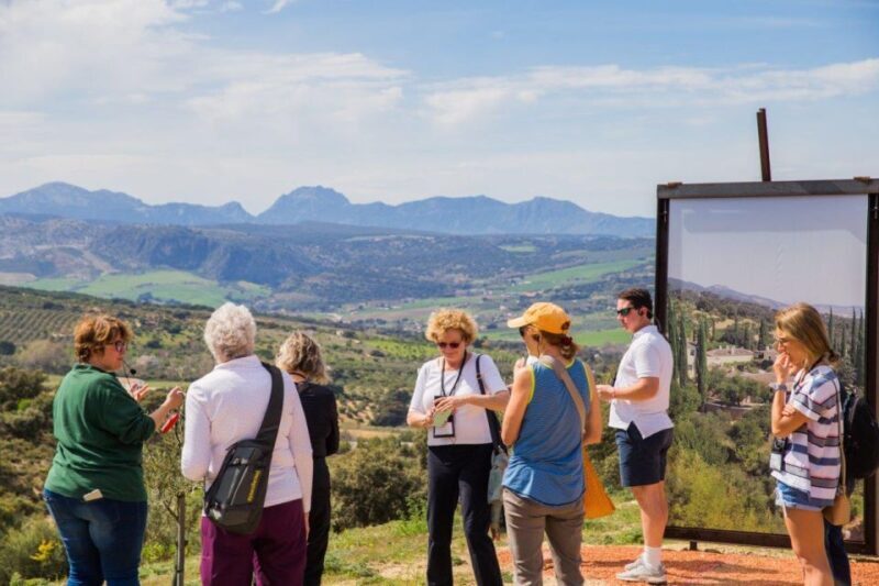 Ronda: LA Almazara LA Organic, Olive Oil Museum and Tasting - Who Will Love This Experience?