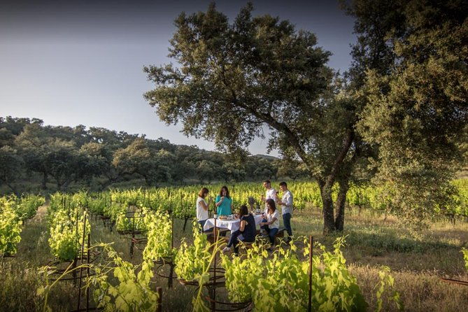 ronda-private-full-day-wine-tour