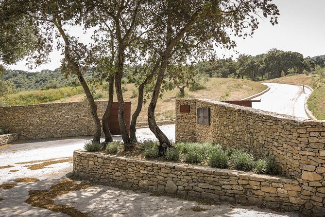 ronda-private-full-day-wine-tour