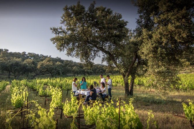 ronda-private-wine-tour-free-time-in-ronda