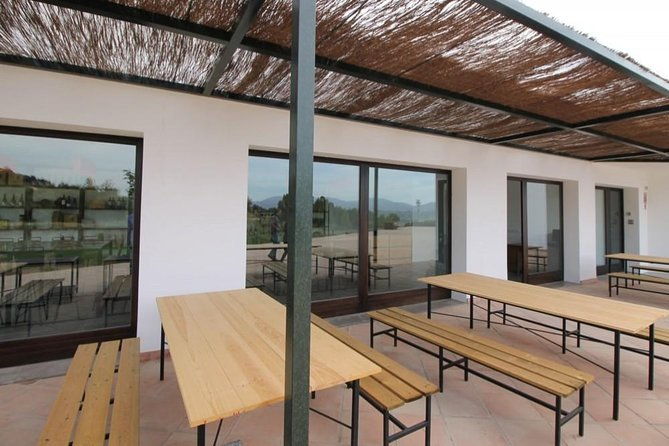 ronda-private-wine-tour-free-time-in-ronda