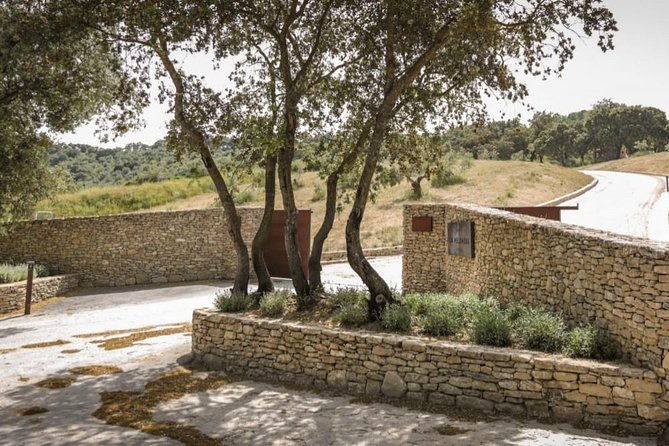 ronda-private-wine-tour-free-time-in-ronda