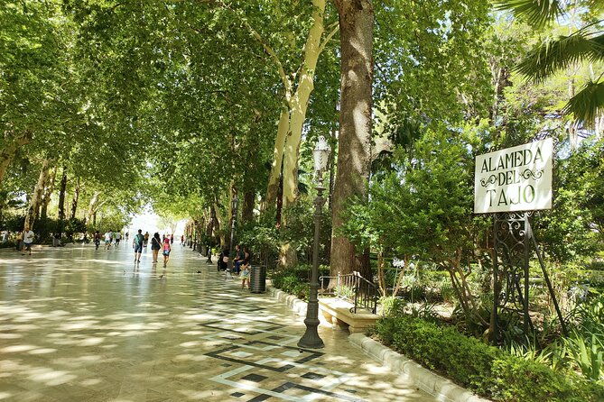 ronda-the-dreamt-city-private-walking-tour